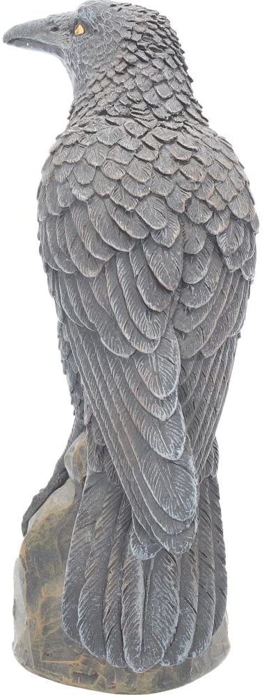 Nemesis Now Ravens Rest Figurine 20cm Black, 21.5cm - Image 3