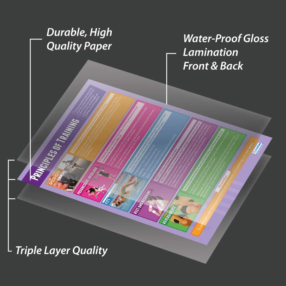 Daydream Education Principles of Sports Training, Laminated, 85L x 59.7W cm - Image 3