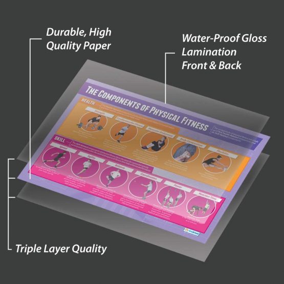 Components of Physical Fitness | PE Posters | Laminated Gloss Paper measuring 850mm x 594mm (A1) | Physical Education Charts for the Classroom | Education Charts by Daydream Education - Image 3