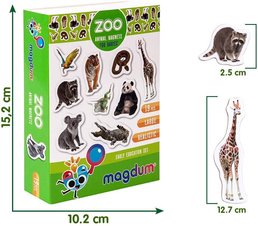Zoo Animal Magnets for Kids, Magdum, 19 Large Fridge Magnets, Realistic Jungle Animals Learning Toy for Toddlers - Image 4