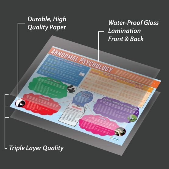 Abnormal Psychology | Psychology Posters | Laminated Gloss Paper measuring 850mm x 594mm (A1) | Psychology Charts for the Classroom | Education Charts by Daydream Education - Image 3