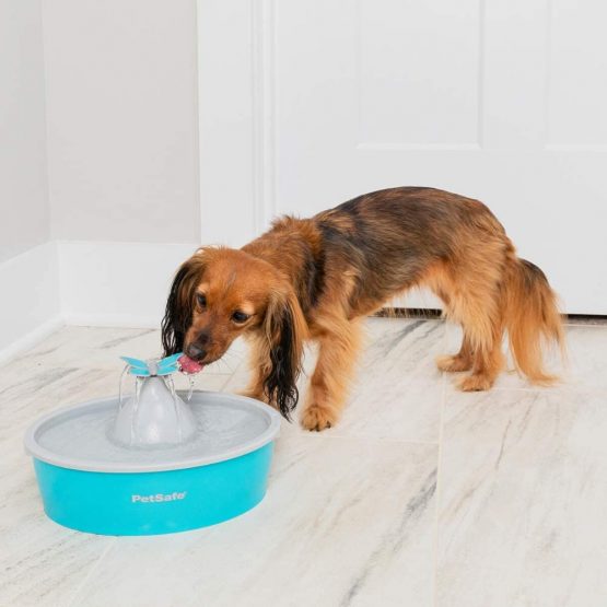 PetSafe Drinkwell Butterfly Pet Fountain - 1.5 Litre Capacity Fresh Filtered Water Dispensers for Cats and Dogs - Adjustable Flow - Filters Included - Image 2