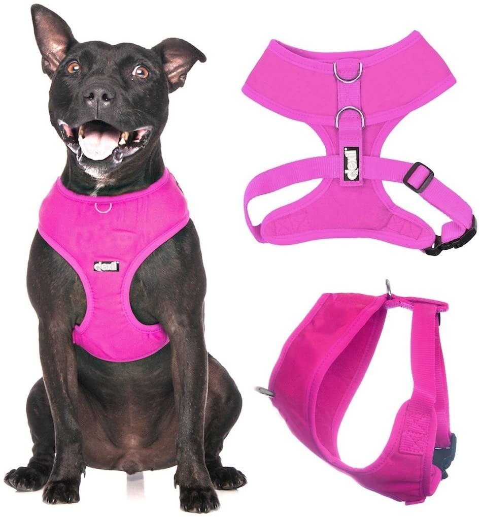Dexil Elite Range Luxury Padded Waterproof Adjustable Back and Front Ring Non-Pull Large Pet Dog Vest Harness (Candy Pink - Image 2