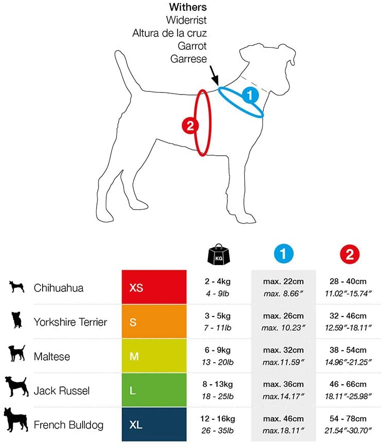 Basic Harness Air-Mesh Orange XL - Image 2