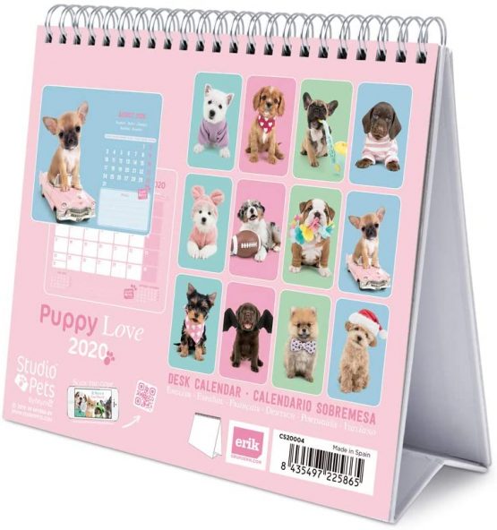 ERIK - Studio Pets Dogs 2020 Desk Calendar - 12 Months,CS20004 - Image 2