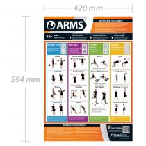 Arms Exercise, Full Arms Workout, Improves Strength Training