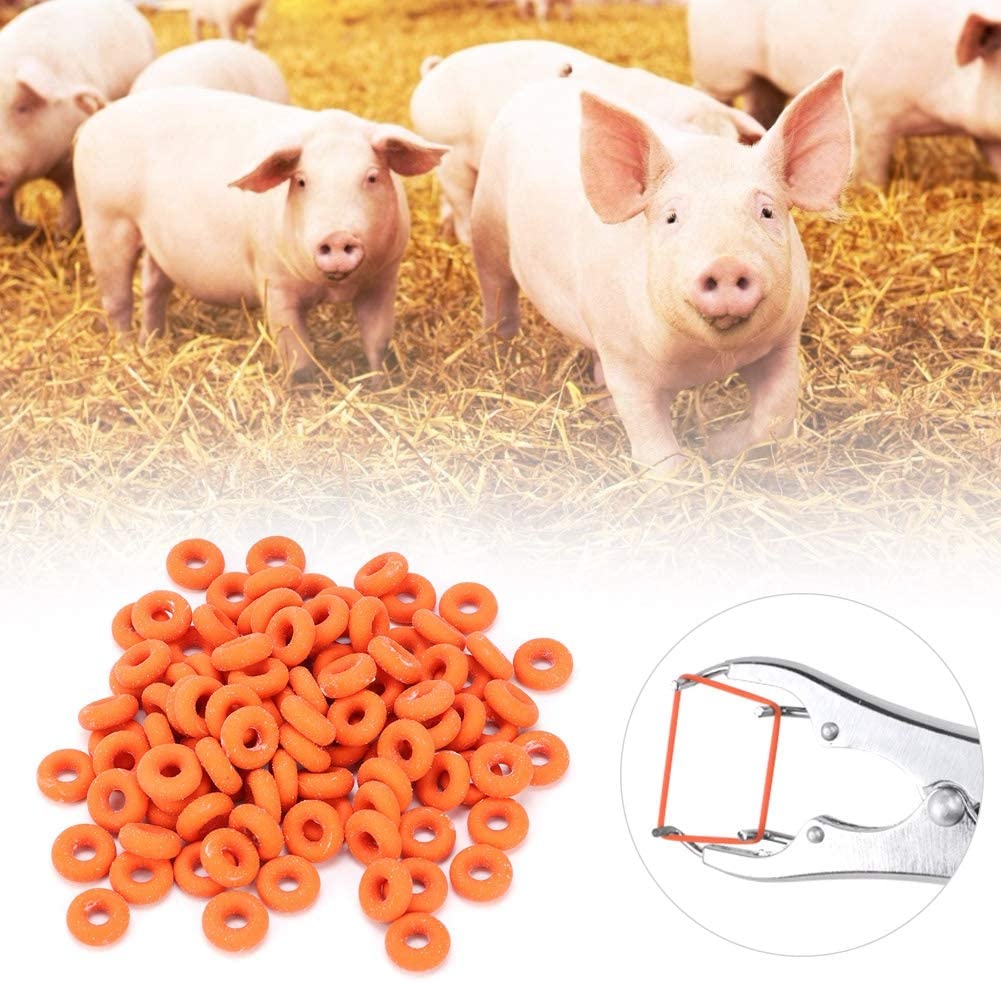 Rubber Rings for Collet Rubber Castration Ring Castration Pliers Rubber ...
