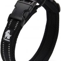 TRUE LOVE Truelove Dog Training Collar TLC5011 Reflective Premium Duraflex Buckle Nylon Webbing Pet Dog Collars,High Grade Nylon Webbing No Choke Basic Collars Now Available (M, Black)