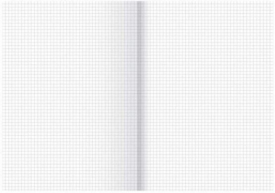 Landre 100050618 Foolscap Paper, DIN A3 Folded to A4, Lined, 80 g/m² Fine, 250 Sheets per Pack Official Paper"Office", DIN A3 Folded to A4, Squared - Image 2