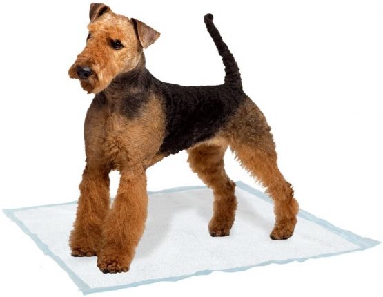 Ferplast Genico Dog Mat, Large, 60 x 90 cm - Image 3