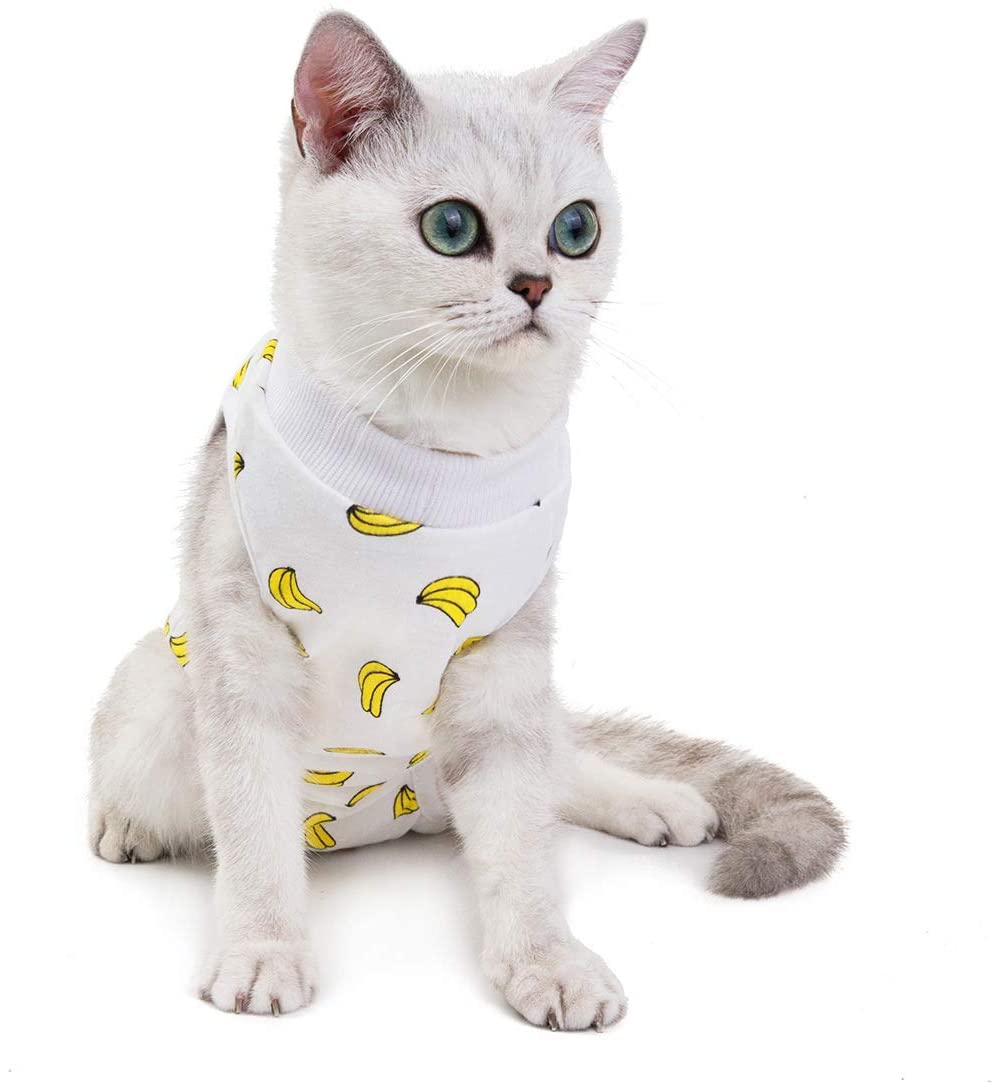 Kismaple Cat Recovery Suit for Abdominal Wounds Surgical Skin Diseases