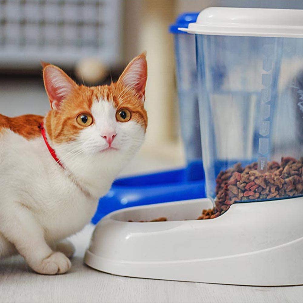 Ferplast Dry food dispenser for dogs and cats 3 Liter ZENITH Practical pet feeder food dispenser biscuits for animals Transparent tank with lid - Image 4