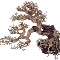 Croci Wood Oriental Wind 7 Medium 1 Count 21 g
