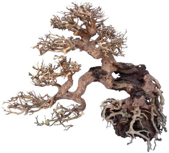 Croci Wood Oriental Wind 7 Medium 1 Count 21 g