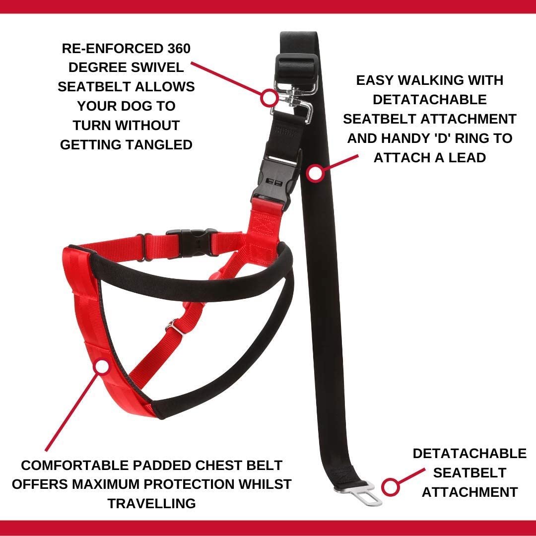 Mikki Dog, Puppy Car Harness - Seatbelt Car Restraint - for Dogs Travelling in Cars - Large, Black - Image 3