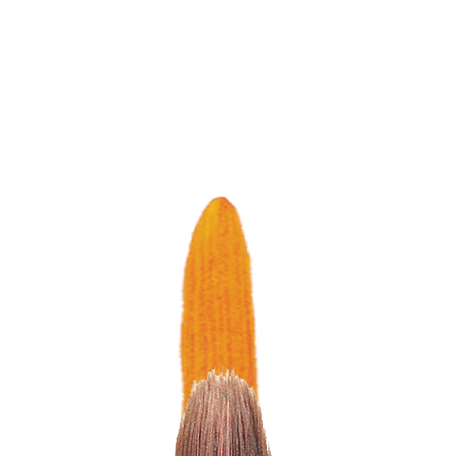 WN Galleria S.H. Round Brush 3, ECFGSHR3 Transparent - Image 3