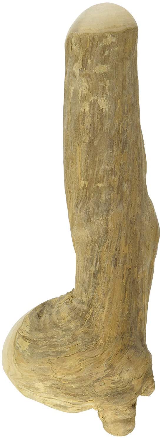 Chewies Chew Bone Dog Toy Made of Coffee Wood 100% Natural Dog Accessories Chew Toy for Dogs Over 20 kg Chew Stick Size L