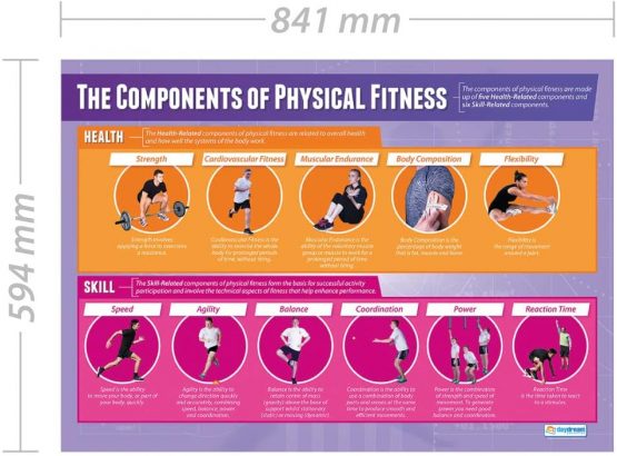 Components of Physical Fitness | PE Posters | Gloss Paper measuring 850mm x 594mm (A1) | Physical Education Charts for the Classroom | Education Charts by Daydream Education - Image 2
