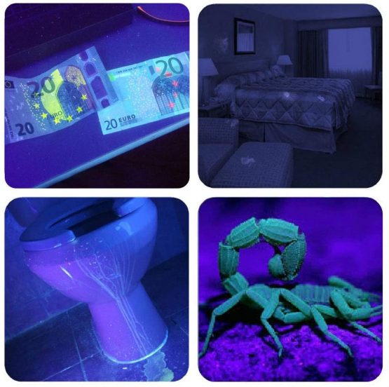 UV Light Torch Black Light 100 LED,Ultraviolet Lamp Flashlight with UV Protection Glasses,395nm Led UV Flashlight,Blacklight Torch Detector for Pet Urine Stains of Carpet/Floor,Resin,Camping,Large - Image 3