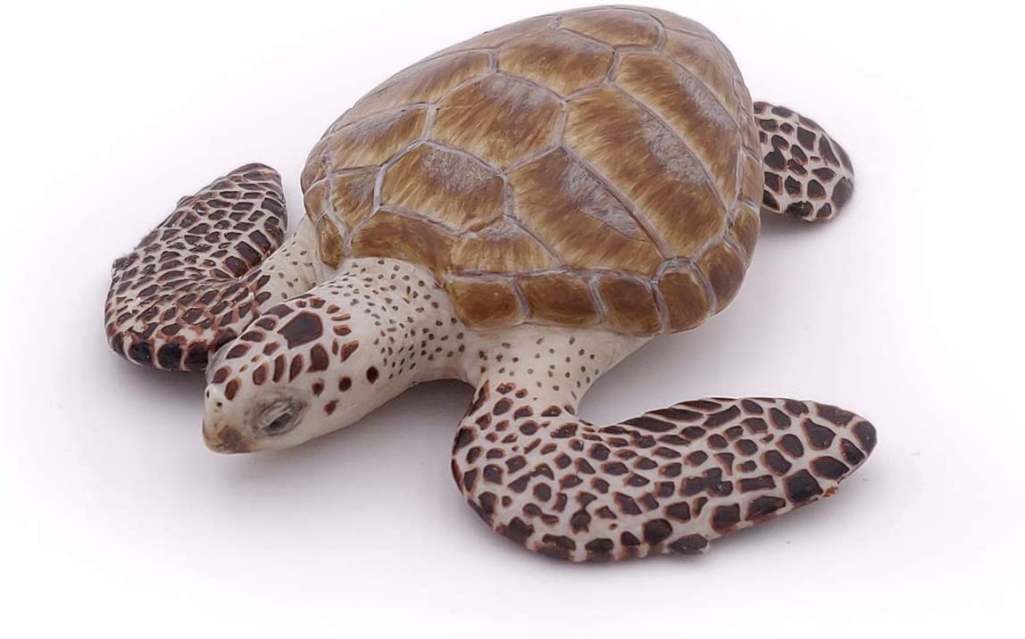 Papo, Realistic Loggerhead Sea Turtle Figure, Ages 3+, Marine Life Collection, Educational Play Marine Animals - Image 3