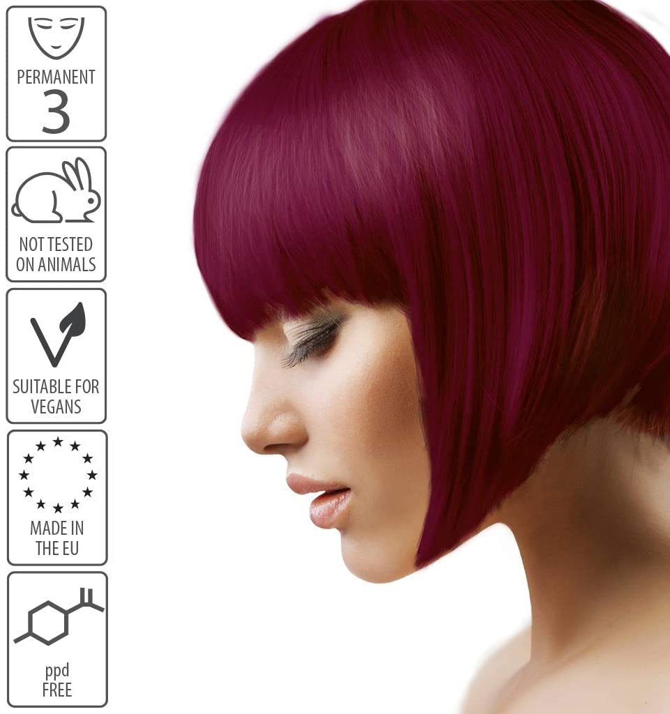 Rich Plum Hair Dye Permanent with Anti-Breakage Plex Hair Care, Vegan Hair Dye & Cruelty-Free, PPD Free, Grey Coverage - Image 2