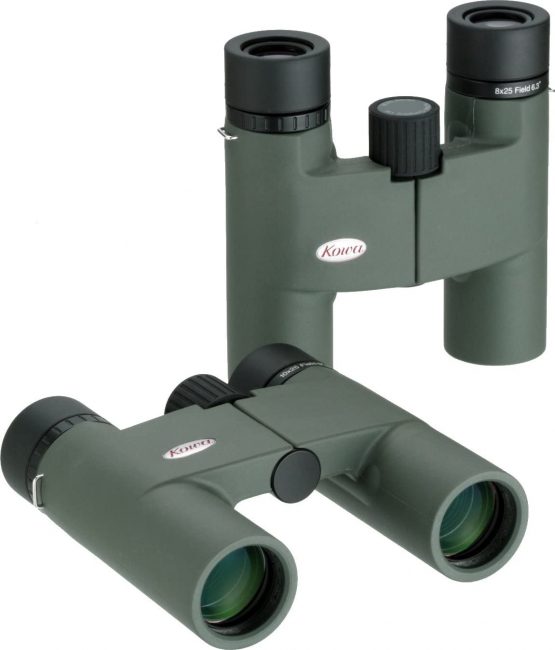 Kowa 10x25 BD Series DCF Compact Binoculars - Image 2