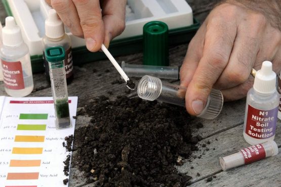 Bosmere K181 PH Soil Test Kit - Image 4