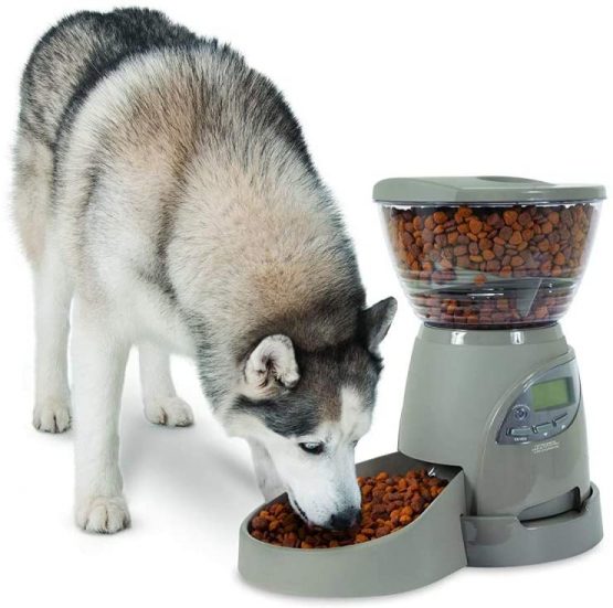 Petmate Portion Right Programmable Pet Feeder, 2.25 Kg, Brushed Nickel - Image 2