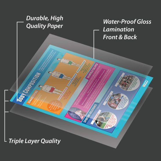 Body Composition | PE Posters | Laminated Gloss Paper measuring 850mm x 594mm (A1) | Physical Education Charts for the Classroom | Education Charts by Daydream Education - Image 3