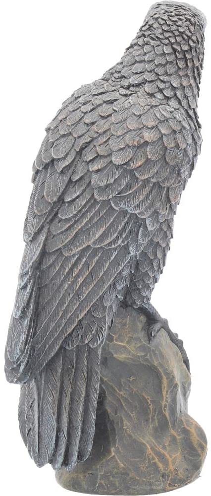Nemesis Now Ravens Rest Figurine 20cm Black, 21.5cm - Image 4