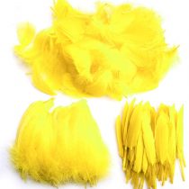 Feather for Crafts,250 Pcs Coloured Feather Striking Feathers for DIY Dream Catchers Natural Crafts Feathers for Wedding/Party/Decorations(3 Sizes) (Yellow)