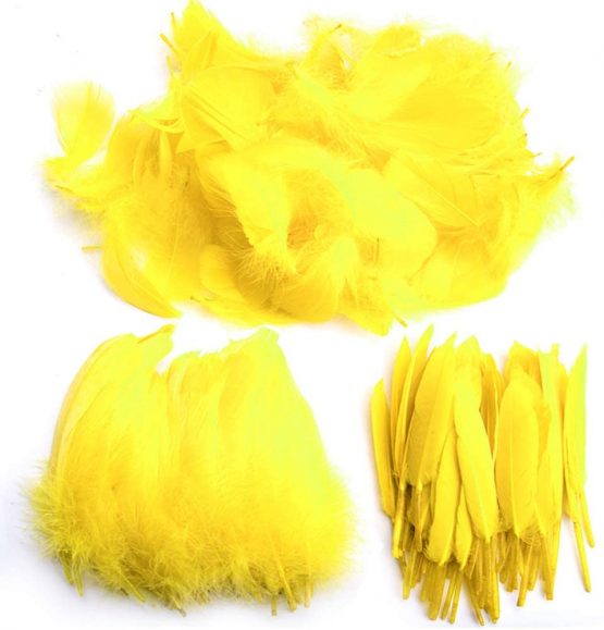 Feather for Crafts,250 Pcs Coloured Feather Striking Feathers for DIY Dream Catchers Natural Crafts Feathers for Wedding/Party/Decorations(3 Sizes) (Yellow)