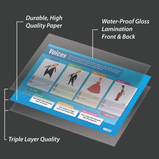 Voices | Music Posters | Laminated Gloss Paper measuring 850mm x 594mm (A1) | Music Charts for the Classroom | Education Charts by Daydream Education - Image 3