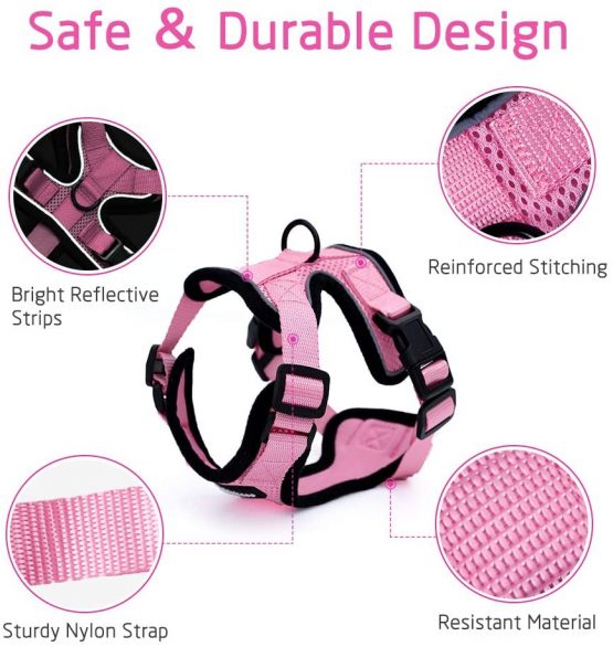 rabbitgoo Cat Harness and Leash Set for Walking Escape Proof with Leash