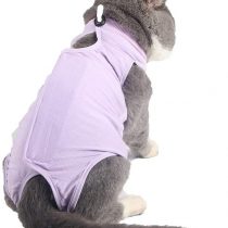 BT Bear Cat Professional Surgical Recovery Suit,Cat Clothes for Abdominal Wounds or Skin Diseases (L, Purple)