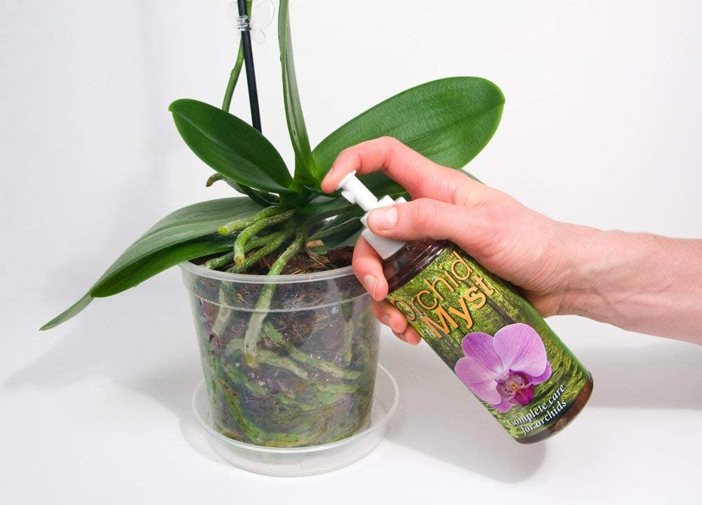 Orchid Myst, 300ml, Growth Technology Plant Mist, Orchid Mist Spray, Ready to Use Food Indoor House Plant - Image 3