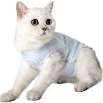 Dotoner Cat Professional Recovery Suit, Surgical Recovery Shirt for Abdominal Wounds Bandages Cone E-Collar Alternative for Cats After Surgery Medical Suit Soft Pets Clothing Indoor (S, Blue)