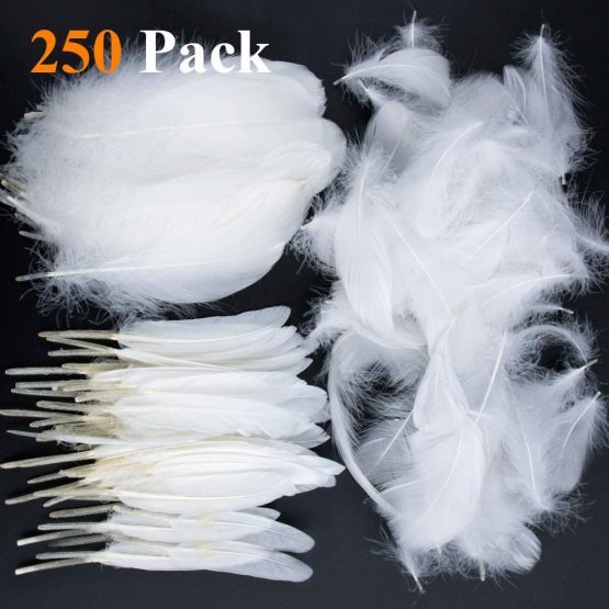 Feather for Crafts, 250 Pcs White Feathers Natural Goose Feathers for DIY Dream Catchers/Earrings/Wedding Party Decorations (3 Sizes)