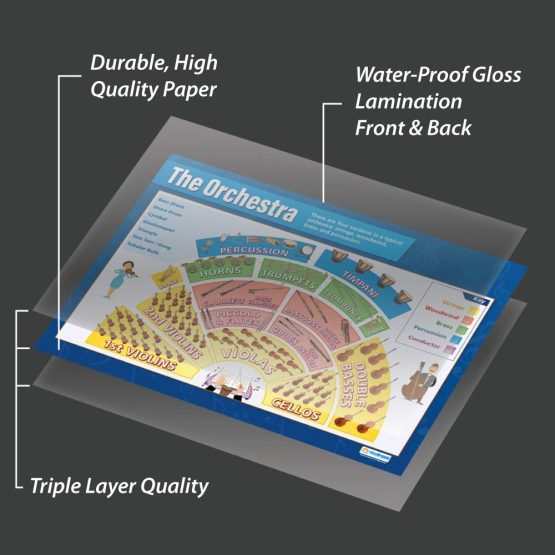 The Orchestra | Music Posters | Laminated Gloss Paper measuring 850mm x 594mm (A1) | Music Charts for the Classroom | Education Charts by Daydream Education - Image 3