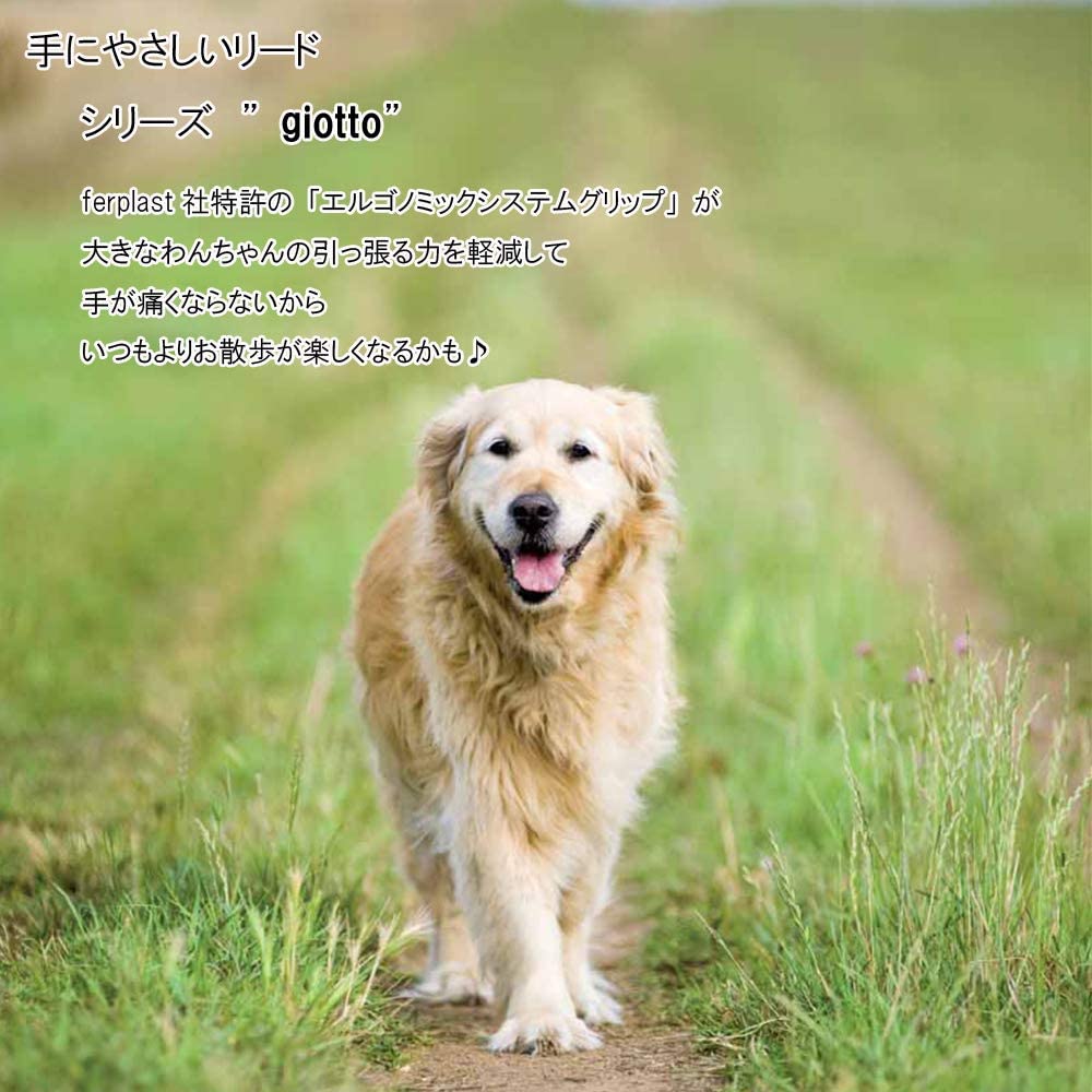 Ferplast Genuine Leather Dog Lead leather Leash with padded handle for dogs GIOTTO Length 120 cm Beige, Large - Image 2