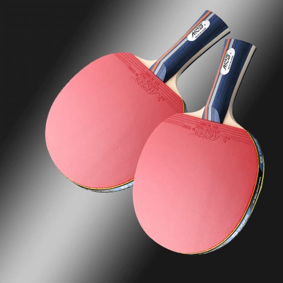 PPong Table Tennis Bats, Racket Case and Balls, Ping Pong Balls with Bats 2 Player Set, Table Tennis Set for Family Activity, School and Sports Club - Image 2