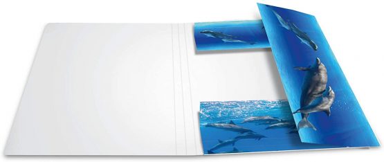 HERMA Elastic Folder Animals with Dolphins Motif, A4, Sturdy Cardboard, with Inner Print, 1 Span Folder - Image 3