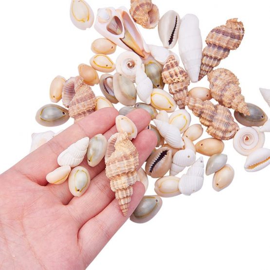 PandaHall Elite about 180pcs Trumpet Shell Beads, Dyed Natural Seashell Charms for Pendant DIY Craft Making Home Party Decoration, Mixed Shapes, Mixed Color - Image 3