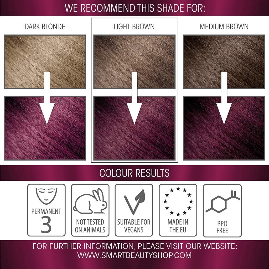 Rich Plum Hair Dye Permanent with Anti-Breakage Plex Hair Care, Vegan Hair Dye & Cruelty-Free, PPD Free, Grey Coverage - Image 3