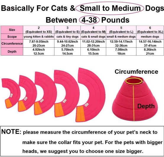 HanryDong Pink Breathable Small Medium Dog Cone, Cat Soft Comfortable Adjustable Mesh E-Collar, Easy Drink Eat Sleep Pet Recovery Elizabethan Collar, Soft Edges,Anti-Bite/Lick for Cat, Dog, Rabbit - Image 2