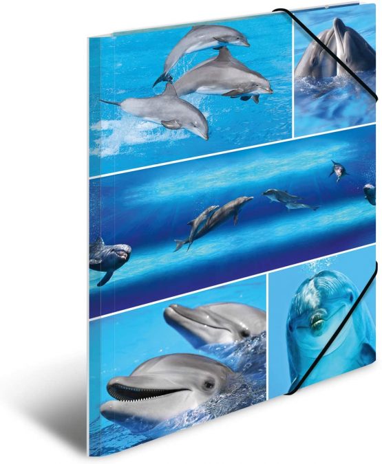 HERMA Elastic Folder Animals with Dolphins Motif, A4, Sturdy Cardboard, with Inner Print, 1 Span Folder - Image 2