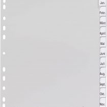 Durable 6446-10 Index Plastic Blank Pack of 12 Grey