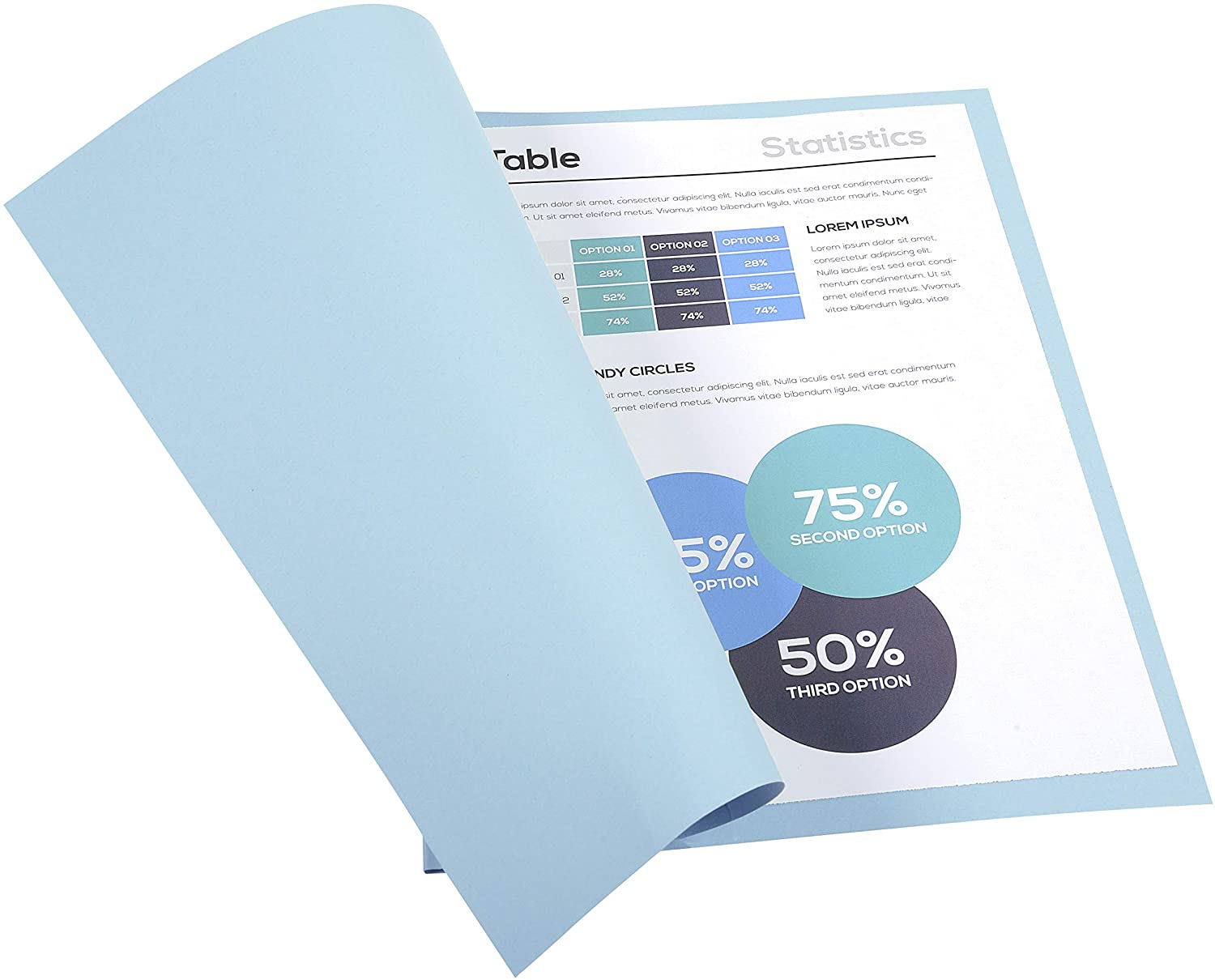 Exacompta, Ref 420006E, Forever Collection, Recycled Square Cut Folder, A4 (210 x 297mm), 170gsm Recycled Board - Image 3