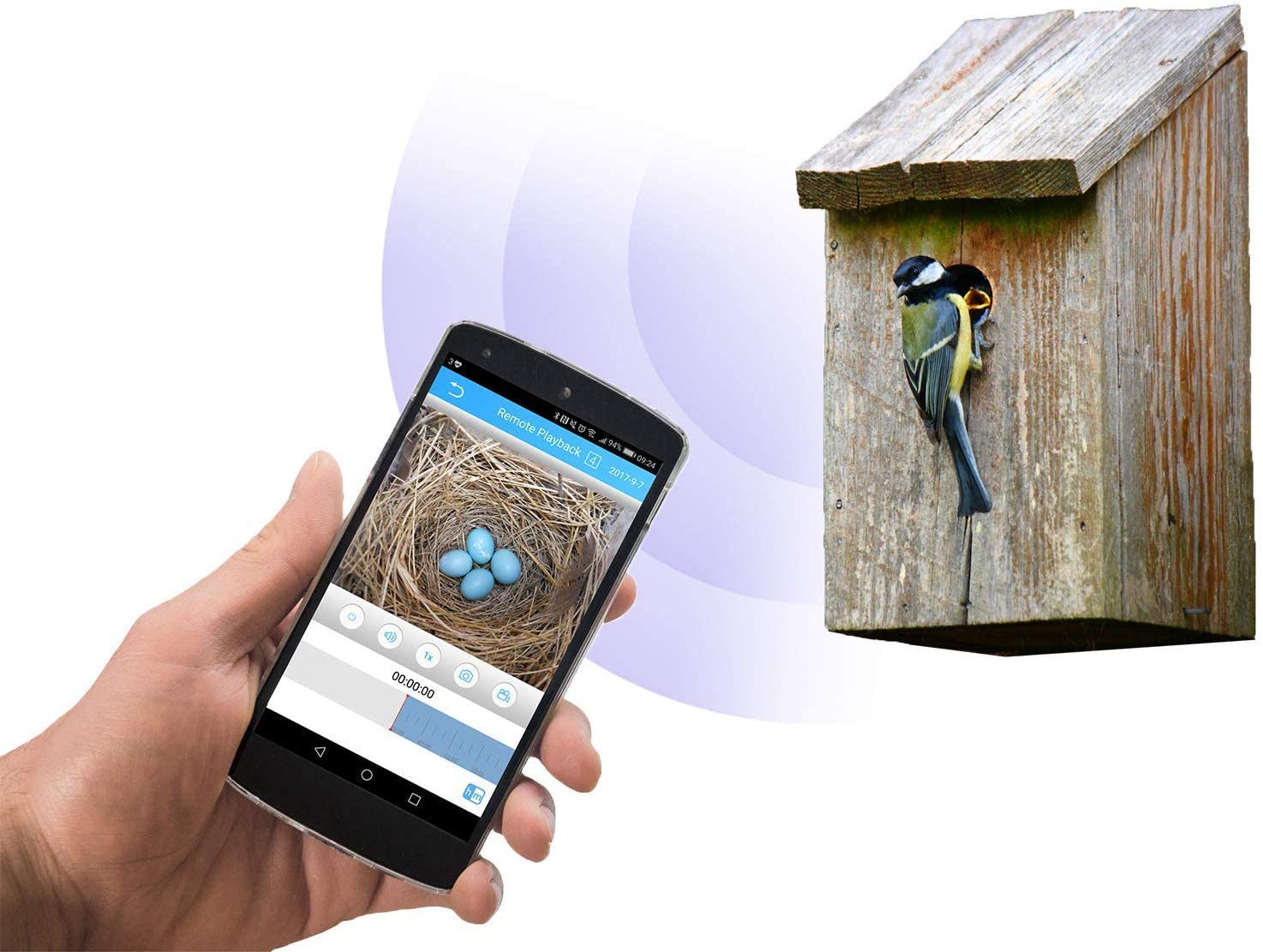 Green Feathers Wildlife WiFi Bird Box Full HD 1080p Camera (2nd Gen