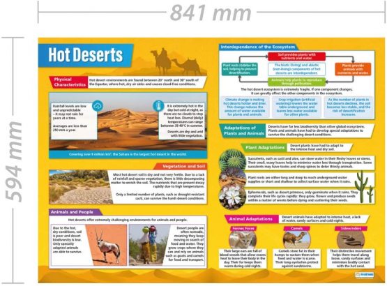 Hot Deserts | Geography Posters | Gloss Paper measuring 850mm x 594mm (A1) | Geography Classroom Posters | Education Charts by Daydream Education - Image 2